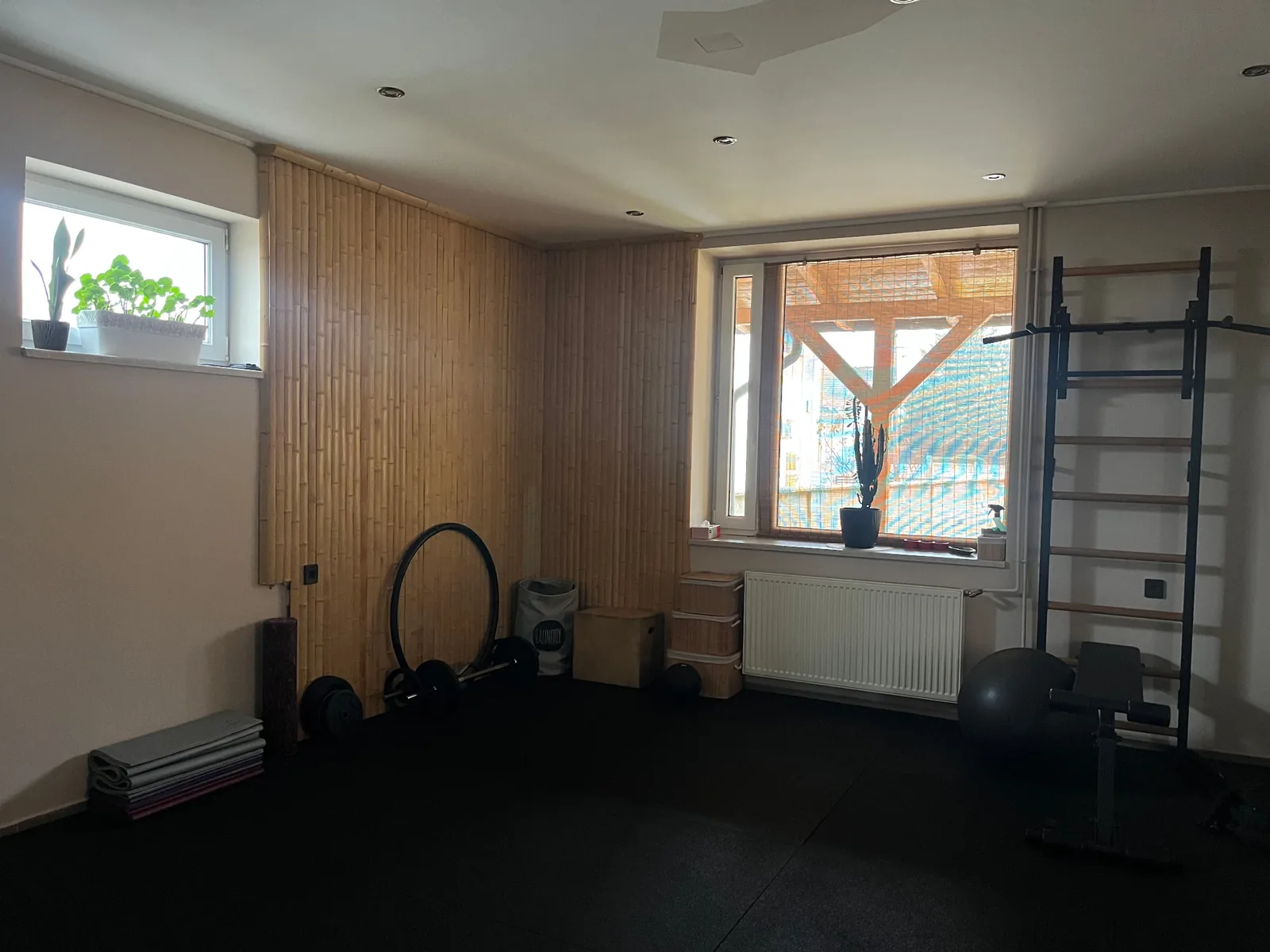 Funkcionális edzőtér természetes fényben